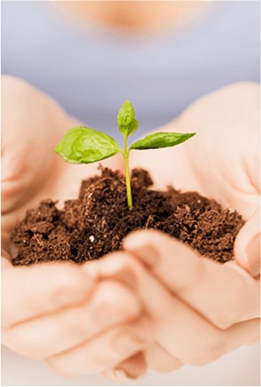 创世大发再生对社会的责任： 坚持实践道德的行为