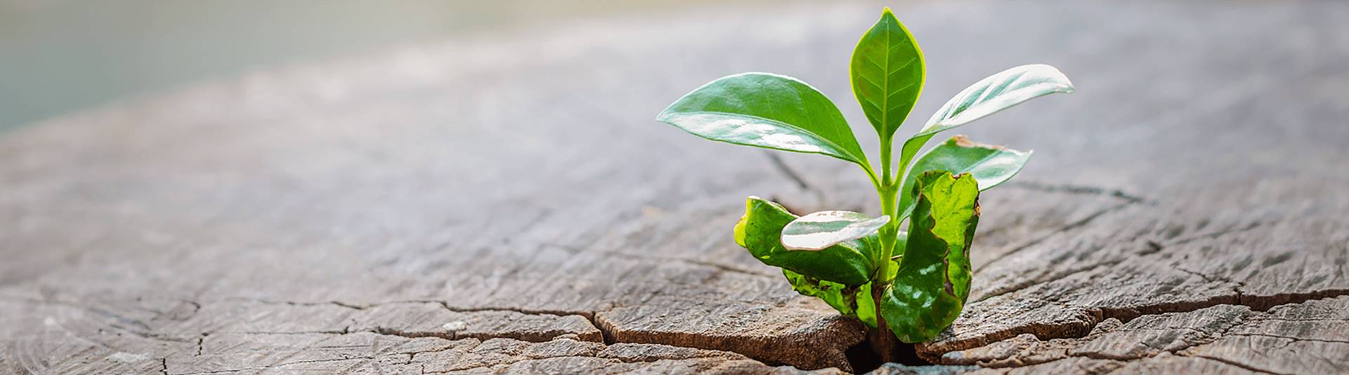 创世大发环保塑料再生事业